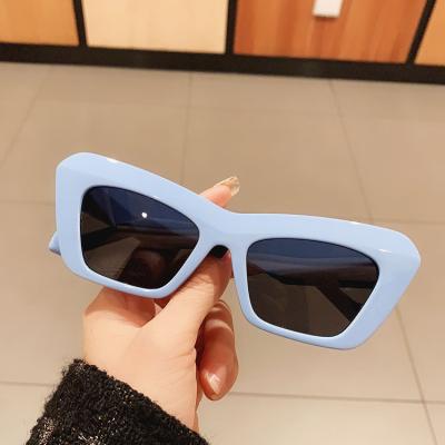 China Fashion sunglasses brand design shades thick frame ladies sunglasses 2022 summer sunglasses women cat ear sunglasses for sale