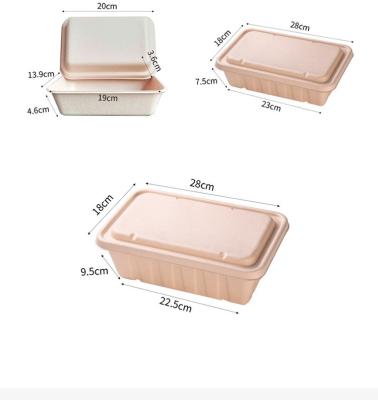 China 2021 High Quality Plastic Food Bowl Food Containers Biodegradable Lunch Box for sale