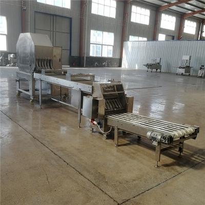 China Food Processing Units Samosa/patti/spring roll making sheeter machine for home for sale