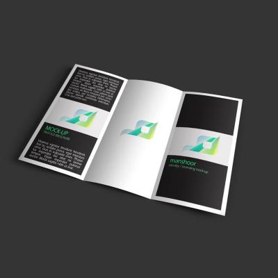 China FSC Eco-friendly Easy Fold Design Easy Shipping Custom Free Flyer Printing , Brochure Printing for sale