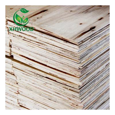 China Contemporary LVL Plywood Board Scaffold Plank Price Pine LVL Lumber for sale