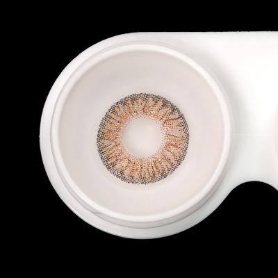 China Daily Lenses 2021 Daily Wear Contacts Lenses Populand Brand Colored Contact Lens Eye Soft Contact Lenses à venda