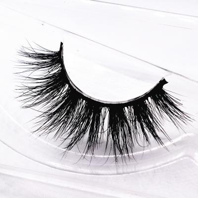 Κίνα wholesale Cosmetic lashes customised mink lashes with contact Lenses προς πώληση