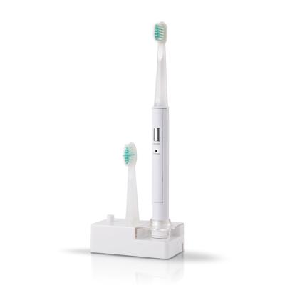 China Risuntech T2061 Slim Rechargeable Wall Electric Toothbrush OEM Electric Power Mountable Waterproof Toothbrush for sale