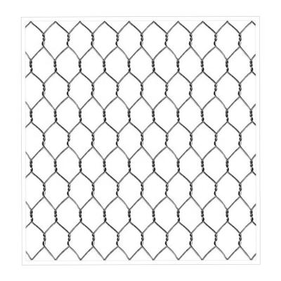 China Fence Mesh Hot Selling Hexagonal Chicken Wire Mesh Plastic Coated For Animal Fence for sale