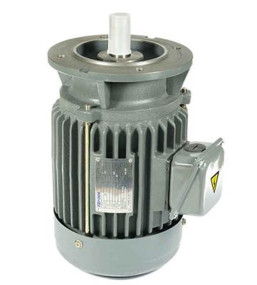 China Totally Enclosed Vertical Induction Motor AC Motor 3 HP Electric Motor Compatible IEC Standard 0.5 for sale