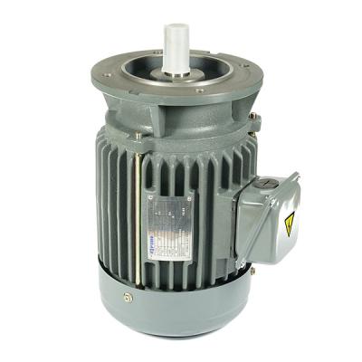 China IEC Standard Vertical Induction AC Totally Enclosed Asynchronous Motor TECO Westinghouse Compatible for sale