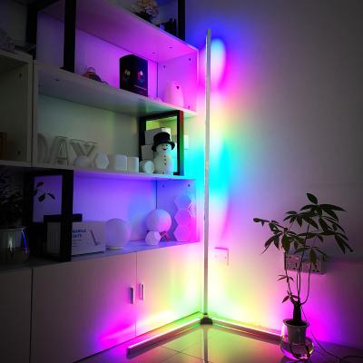 China Modern Dimmable Modern Floor Lamp RGB Color Remote Control LED Floor Position Lamp Corner Light for sale