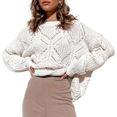 China Anti-wrinkle Autumn Long Sleeve Women Winter Long Sleeve Crewneck Sweater Mujer Ladies Winter Open Knitted Sweater for sale