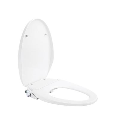 China Modern Style PP Material Bathroom Non-electric Toilet Bidet Seat For Use for sale