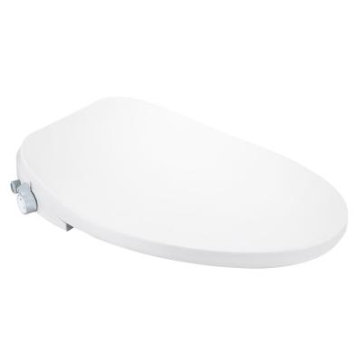 China Modern Western European Standard Wholesale Tb101 Toilet Seat Bidet With Cover for sale