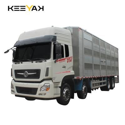 China Pig transport truck 8x4 livestock transport vehicle dongfeng cargo trucks 11 - 20T for sale