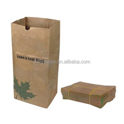 China Biodegradable custom paper bag with logo printed paper bag logo printed biodegradable waste paper garden refuse bags for sale