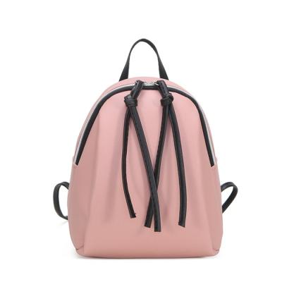 China New Shell Women's Pull Tassel Mini Backpack Type Small Backpacks Wholesale 2019 Korean Double Style Waterproof for sale