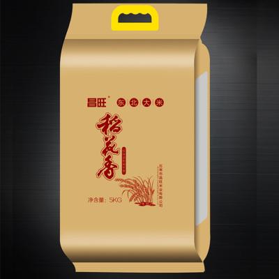 China Custom Logo Moisture Proof Printed Brown Craft Bag Punch Hole Handle Wheat Grain Rice Kraft Paper Moisture Proof Bag for sale