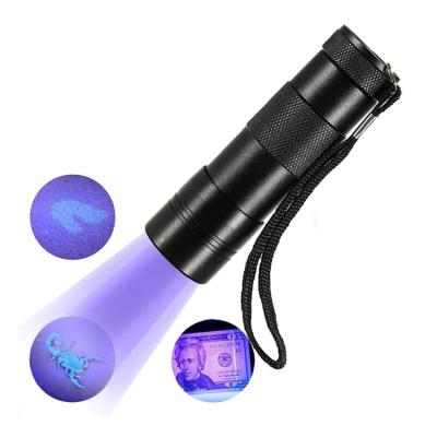 China Desktop Mini 12 Led Purple Beads Flashlight 395NM UV For Dog / Cat / Pet Urine & Dry Stains & Bed Bug On Carpets / Flooring for sale