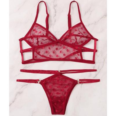 China Sexy lingerie Italy 2020 new design high quality red erotic see hot transparent women lingerie brief and sexy bra set for sale