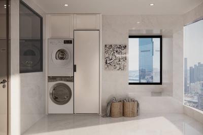 Китай Fadior Stainless Steel Balcony Cabinet With Integrated Laundry And Storage Solution продается