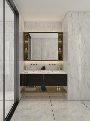 China Luxury Stainless Steel Bathroom Vanity Cabinet Sleek Design & Durability Redefined for sale