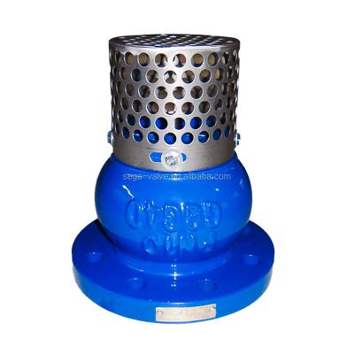 China General Ductile Iron / Cast Iron Water Foot Valve For Pipe Line With Competitive Price for sale