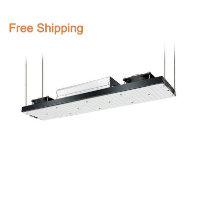 China free shipping 200lm/w Yuxinou full spectrum 240w led grow light bar hydroponic greenhouse lm301h led grow lights for sale