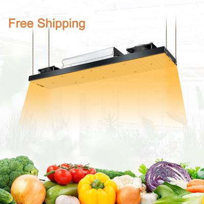 China 200lm/w YXO Yuxinou Free Shipping Horticulture Led Grow Light Bar Indoor Plant IR UV 240w Lm301h Led Grow Light for sale