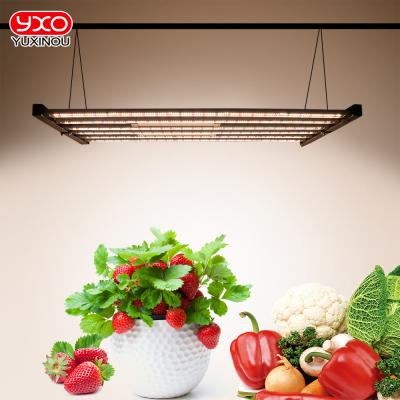 China Seed Starting YXO Top 6 Bars 650W Planting Light Indoor Dimmable LED Planting Light For Medical Farms for sale