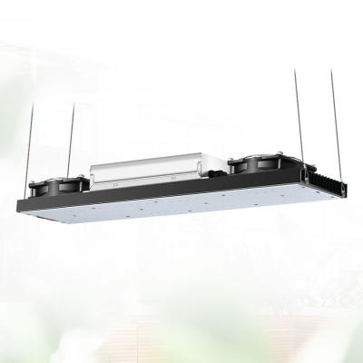 China 200lm/w 240w Full Spectrum Led Grow Lights IR Grow Lights for sale