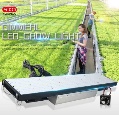 China Sam-Sung Commercial Dimmable Veg Flower Lm301B 301H Free Shipping Stock 200lm/w Full Spectrum Led Grow Lights for sale