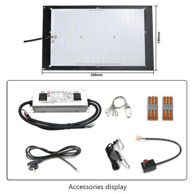 China 200lm/w Samsung 2021 Lm282B 240W Led Grow Light Lm301H Led Light Panel Lm301H 240w Led Grow Light Bar IR UV for sale