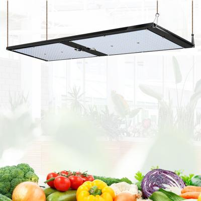 China 200lm/w Dimmable Lm301b lm301h 240w Full Spectrum Led To Grow Light For Indoor Plants for sale