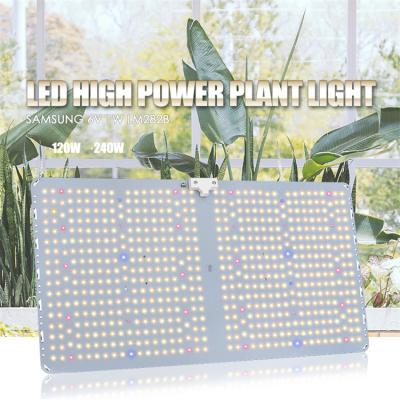 China 160lm/w Vertical Growing 2.8Umol/J Led Grow Light Board Lm282b Lm281b Dimmable LED Grow Light Plant for sale