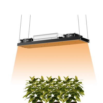 China 200lm/w indoor greenhouse good prices dropshipping led grow light hydroponic plant grow 200W led tube light lamp for sale