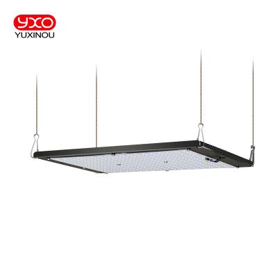 China 200lm/w Yxo Ru Eu Br Pl Stock full spectrum led tube grow light grow led strip Epistar led grow light for sale