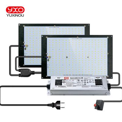 China 200lm/w YXO YUXINOU Current Cheapest EU RU BR PL Full Spectrum Lm282b 120w 240w Led Light Growing Indoor Factory for sale