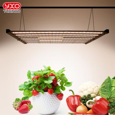 China 200lm/w Yxo Yuxinou High Quality LED Full Spectrum Grow Light 8 Bars 1200w 1000W 800W 650W Dimmable LED Grow Light for sale