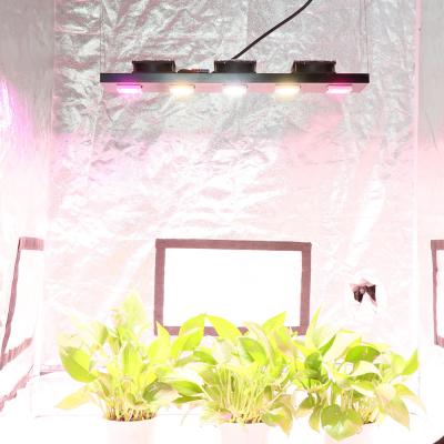 China Dimming Control YXO YUXINOU Professional Indoor Plant LED Grow Light 300W Hydroponic DOCB Led Grow Light Bar for sale