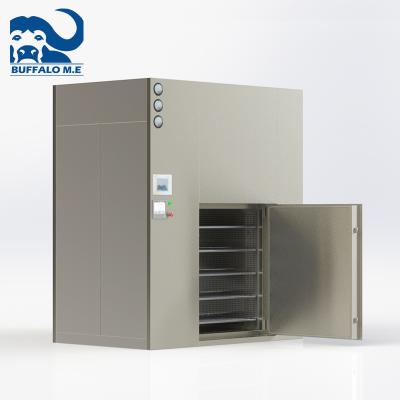 China Low Price Custom Purifying Oven For Medicine DMH for sale