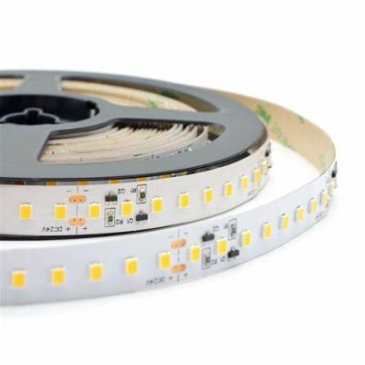 China Hot selling rongyang 2020 2835SMD LED LANDSCAPE strip light DC12/24V 10mm wide IP68 led strip light for sale