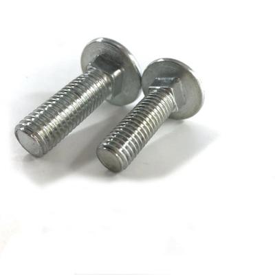 China Factory Wholesale Good Quality Stainless Steel SS Cup Head Square Neck Bolt for sale