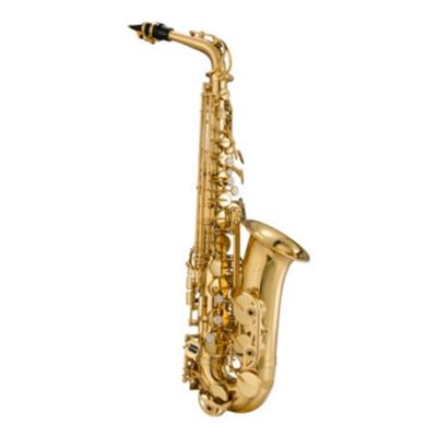 China Varnish Promotional Good Quality Popular Product China Customized Alto Saxophone Instrument for sale