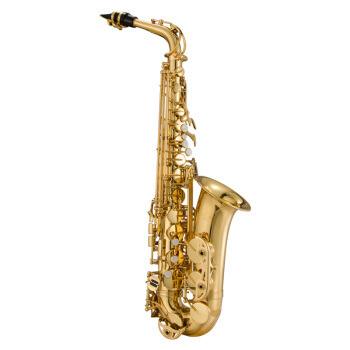 China Varnish Promotional Good Quality Popular Product Alto Saxophone Chinese Alto Saxophone Cheap for sale