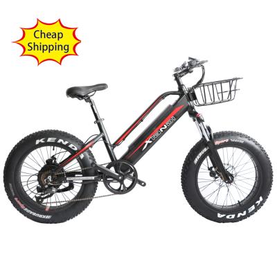 Chine High quality 20 inch aluminum alloy bicycle fat tire electric bike folding electric bike for sale à vendre