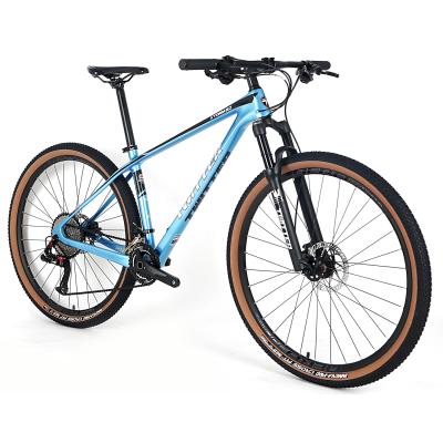 Cina Carbon Fiber Twitter Bike M6100-12S 29er MTB Carbon Fiber Mountain Bike Cycling Bicycle in vendita