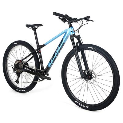 Cina Hot Selling Twitter Carbon Fiber 29 Mtb Bicycle Carbon Mountain Bike With SX-12S Double Hydraulic Brake in vendita