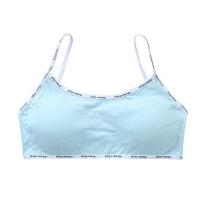 China Antibacterial Thin Straps Multiple Colors Available Relieve Girls Beautiful Seamless Breast Bra for sale