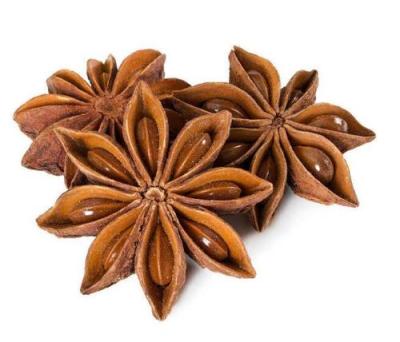 China Dried Chinese Single Spice Star Anise Price for sale