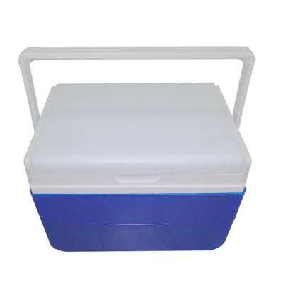 China Portable 5L Food Cooler Box With Handle , Plastic Ice Cooler Box for sale