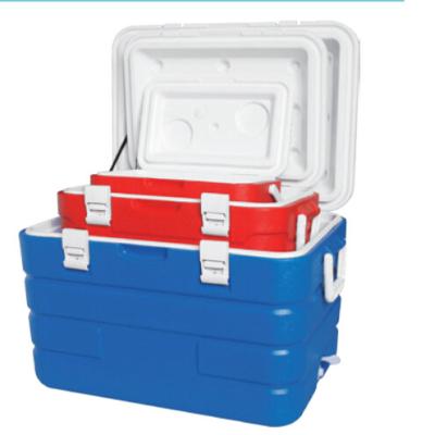 China Food Blow-molded Outdoor Plastic High Quality Food Cooler Box for sale