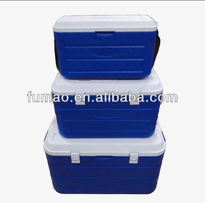 China Food Blower Puffs Insulated Cooler Box Sets for sale